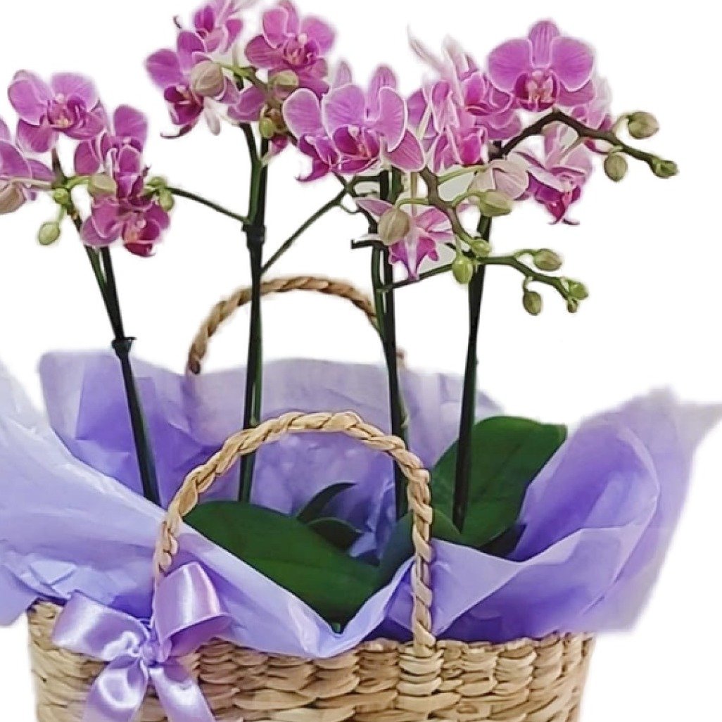 Cesta de Palha com Orquídeas - vista alternativa