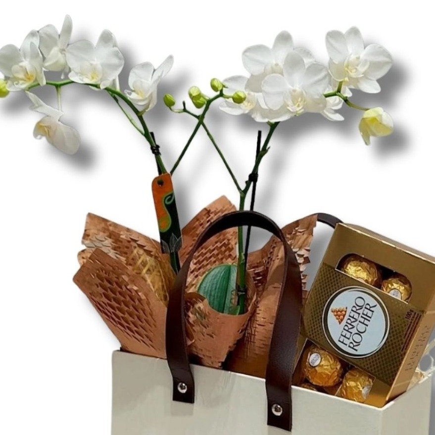 Cesta Premium Mini Orquídea e Chocolate - foto 3