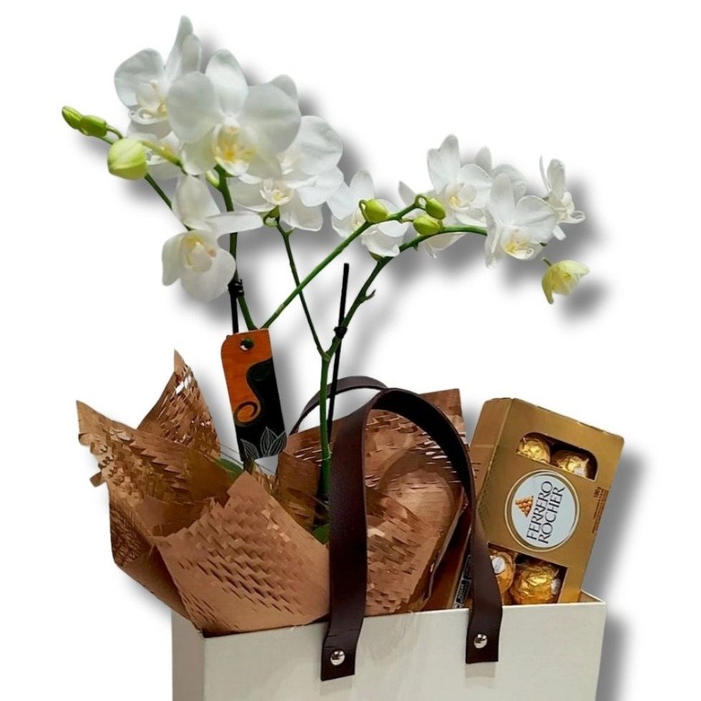 Cesta Premium Mini Orquídea e Chocolate - foto 4