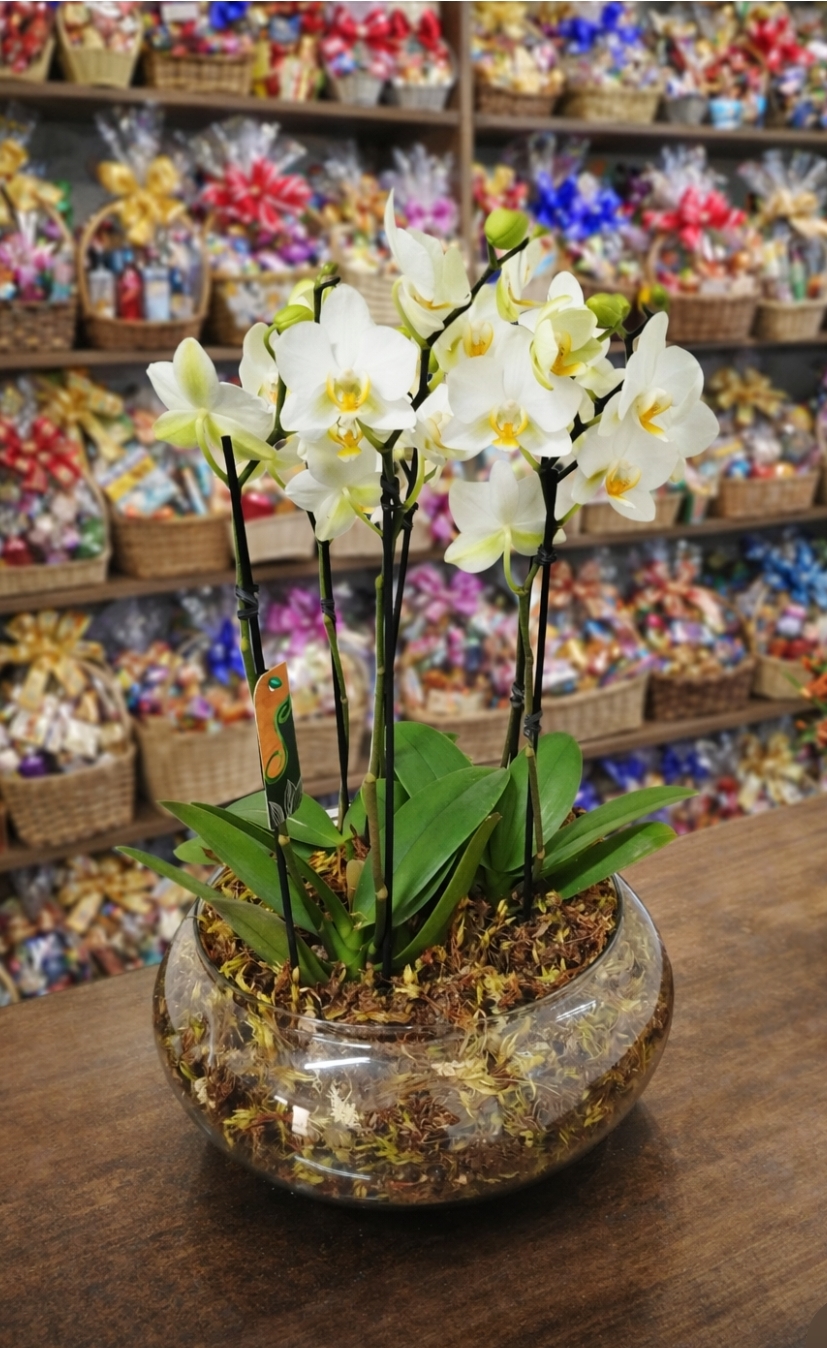Vaso de Vidro com Orquídeas Premium Brancas - foto 4